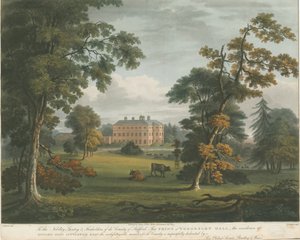 Teddesley Hall: rycina kolorowa akwatinta, bd [ok. 1825] autorstwa Unbekannt