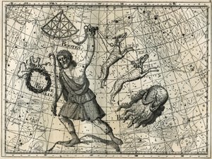 Altana, korona borealna, psy myśliwskie, sierść Berenice. Grawer z „Gwiazdy i inne osobliwości nieba” Camille Flammarion autorstwa Unbekannt