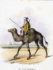 Szybki Posłaniec”, ok. 1845 r autorstwa Unbekannter Künstler