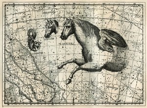 Konstelacja Pegazy rysuje jak przednia połowa konia z parą skrzydeł, Konikiem, głową konia i Delfinem. Grawer z „Les étoiles et les autres curiosites du ciel” autorstwa Camille Flammarion autorstwa Unbekannt
