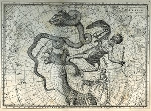 Pobliskie konstelacje bieguna północnego: Niedźwiedź, Smok, Cephee, Żyrafa, Renifer i Messier. Grawer z „Gwiazdy i inne osobliwości nieba” Camille Flammarion autorstwa Unbekannt