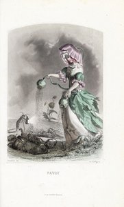 Opłata makowa posypuje strąkami opium narkotyki coleopteres i szarańczy - Eau forte autorstwa Charlesa Geoffroya (1819-1882), na podstawie ilustracji Jeana Ignace