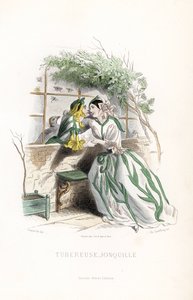 Żonkil bulwiasty i elf zalecają się do siebie na ławce ogrodowej przy murze - Eau forte autorstwa Charlesa Geoffroya (1819-1882), na podstawie ilustracji Jeana Ignace