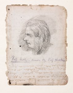 Thomas Henry Huxley, angielski biolog, połowa końca XIX wieku autorstwa Unbekannt