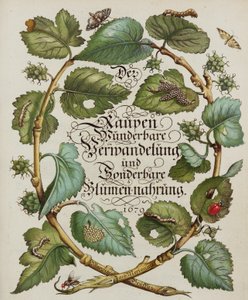 Titelseite aus einem Naturgeschichtsbuch