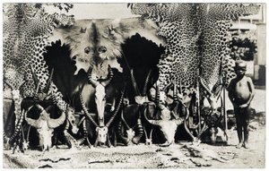 Trofea, ok. 1910 r. (zdjęcie czarno-białe) autorstwa Unbekannter Künstler