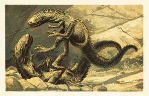 Dwa walczące Dryptosaurus aquilunguis.1908 (litografia) autorstwa Unbekannter Künstler