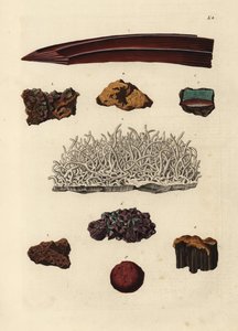 Odmiany rudy żelaza. Ręcznie kolorowany miedzioryt według ilustracji z Deliciae Naturae Selectae Georga Wolfganga Knorra z Kabinet van Zeldzaamheden der Natuur, Blusse and Son, Norymberga. autorstwa Unbekannter Künstler