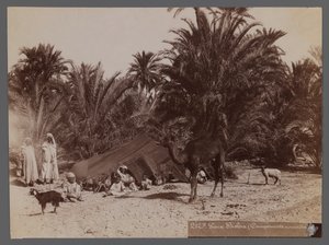 Widok z miejsca w Afryce Północnej - Nomad Camp (odbitka fotograficzna albumu) autorstwa Unbekannt