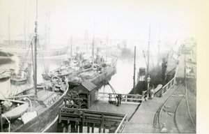 Widok na port Blyth patrząc w dół rzeki z wieloma statkami czekającymi na załadunek autorstwa Unbekannt