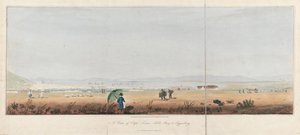 Widok na Kapsztad, Zatokę Stołową i wzgórza Tygerberg (RPA). Litografia (26,5x53,5 cm) autorstwa J.W. Burchella autorstwa Unbekannter Künstler