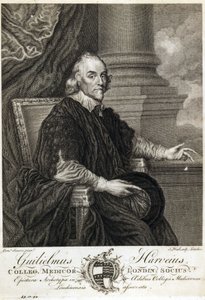 William Harvey, angielski lekarz autorstwa Unbekannt