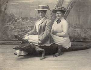 Kobiety siedzące na wypchanym aligatorze, ok. 1905 (zdjęcie czarno-białe) autorstwa Unbekannter Künstler