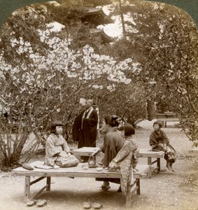 Rodzina na pikniku pod kwitnącymi wiśniami, Omuro Gosho, Kioto, Japonia, 1904. autorstwa Underwood and Underwood
