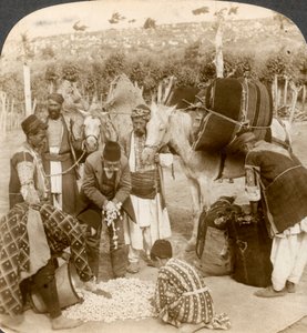 Eksperci skupujący kokony jedwabne na eksport do Francji, Antiochii, Syrii, lata 1900. autorstwa Underwood and Underwood