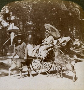 Dziewczyna karmiąca święte jelenie w drodze na modlitwę, teren świątyni Kasuga, Nara, Japonia, 1904 autorstwa Underwood and Underwood
