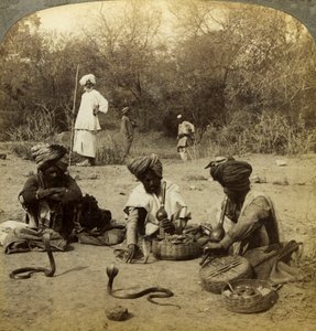 Zaklinacze węży, Delhi, Indie. autorstwa Underwood and Underwood