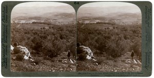 Równina Dothan, Palestyna, 1900. autorstwa Underwood and Underwood