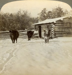 Zima na ranczo, Montana, USA. autorstwa Underwood and Underwood
