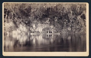 [Pod urwiskami rzeki Withlacoochee, Floryda]. autorstwa Unidentified