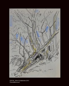 22915N - Drzewo Babiniere-2013 autorstwa Unknown