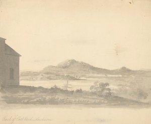 Tył East Rock, New Haven autorstwa Unknown