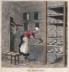 Fabryka serów. Ilustracja z XIX wieku. Kolekcja Bianchetti. autorstwa Unknown artist
