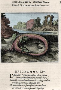 Smok bijący ogonem (lub Ouroburo (?)). Płyta zaczerpnięta z wędrówki alchemii „Latająca Atalanta to emblematyczna powieść tajemnej chemii natury” Michela Maiera (1568-1622) autorstwa Unknown artist