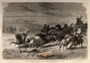 Rodeo w Lauramarca (Dolne Peru), schwytanie dzikich koni, przed ich żelaznym oznaczeniem inicjałami właściciela regionu, uważanego za kompletne widowisko, zgromadziło wielu badaudów. Grawerowanie ilustrujące podróż w dolinach Quinquin autorstwa Unknown artist