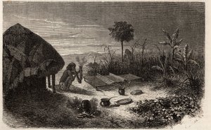 Tkacz i jego tkacz nad brzegiem rzeki Zambeze. Grawerowanie ilustrujące pierwsze podróże dr Livingstone