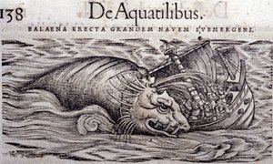 Wieloryb niszczy kadłub łodzi i powoduje jej zatonięcie. Grawerowanie Historia Animalium autorstwa Conrada Gesnera (1516-1565), Tiguri autorstwa Unknown artist