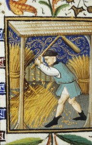 Alegoryczne przedstawienie sierpnia. Chłop bijący pszenicę. Miniatura rękopisu z XIV wieku. autorstwa Unknown artist