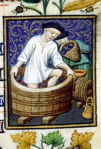 Alegoryczne przedstawienie września. Zbiór, usuwanie winogron. Miniatura rękopisu z XIV wieku. autorstwa Unknown artist