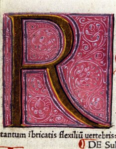 Alfabet: zminiaturowana litera R autorstwa Unknown artist