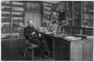 Alphonse Milne Edwards (Milne-Edwards autorstwa Unknown artist