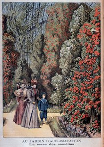 W ogrodzie aklimatyzacyjnym: szklarnia kamelowa - w „”Le Petite Journal”” autorstwa Unknown artist