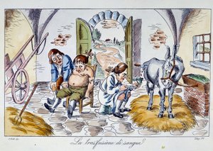 Transfuzja krwi Lekarz wstrzykuje pacjentowi krew końską. Karykatura z XIX-wiecznej kolekcji prywatnej autorstwa Unknown artist