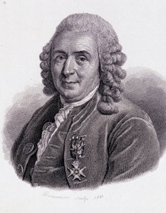 Carl Von Linné Szwedzki przyrodnik i pisarz (1707 - 1778) - w „Portrecie pożytecznych ludzi”” autorstwa Unknown artist