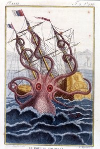 Ośmiornica kolosalna (ośmiornica olbrzymia, kraken) atakująca statek (statek, statek) - grawerowanie książki Pierre