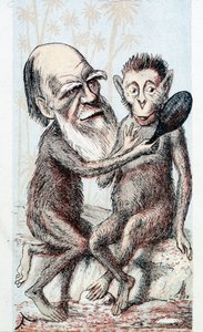 Komedia nawiązująca do teorii Darwina - w „London Sketchbook” autorstwa Unknown artist