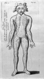 De Acupunctura autorstwa W.Ten Rhijn. Londyn 1683. Pierwszy zachodni tekst dotyczący akupunktury. autorstwa Unknown artist