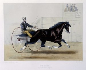 Kłusak Dextera - w „”Centaur”” autorstwa Unknown artist