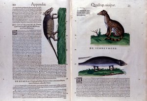 Podwójna strona Historii Animalium Conrada Gesnera (1516 - 1565), Tiguri autorstwa Unknown artist