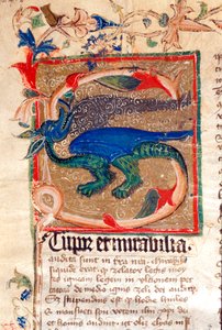 Dragon Decoree Lettrine Fragment rękopisu z XIV wieku autorstwa Unknown artist