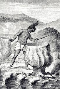 Rycina przedstawiająca odmianę gąbki zwanej Czarą Neptuna (Thalassema Neptune) autorstwa Unknown artist