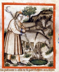 Esa pasie osły - Pięcioksiąg. Miniatury z kodeksu 212 (lub Kodeks Padovano lub Biblia z Padwy) 1390-1400 Rovigo, Accademia dei Concordi autorstwa Unknown artist