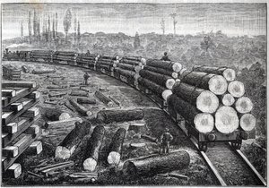 Eksploatacja lasów Stanów Zjednoczonych. Koleje tymczasowe z drewnianym torem. Wagony przewożące pnie drzew. Grawer w „”La Nature”” autorstwa Unknown artist