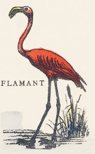 F: flaming autorstwa Unknown artist