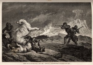 Walcz z niedźwiedziem polarnym chroniącym jej dziecko, sfora psów atakuje ją i myśliwych, broń karabinowa, czekaj na odpowiedni moment, by ją zastrzelić. Grawerowanie ilustrujące podróż na wolne morze bieguna arktycznego autorstwa doktora Hayesa, chirurga  autorstwa Unknown artist