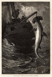 Łowienie squala młotkowego o długości 7 metrów w wodach w pobliżu wyspy Anastasia. Grawer ilustrujący historię czterech miesięcy na Florydzie, Achille Pousselgue w latach 1851-1852, opublikowany w „Le tour du monde” 1870-1871, pod redakcją Edouarda Charton autorstwa Unknown artist